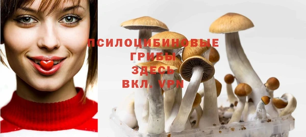 тгк Алексеевка