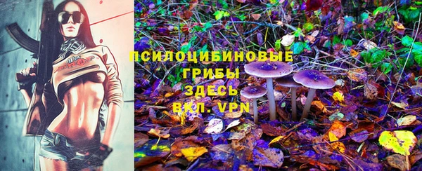 герыч Гусиноозёрск