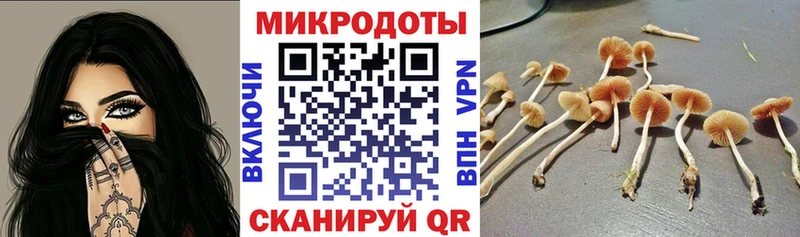 KRAKEN вход  Анжеро-Судженск  Псилоцибиновые грибы MAGIC MUSHROOMS  сколько стоит 